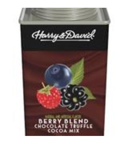 Harry & David Berry Blend Chocolate Truffle Cocoa Mix