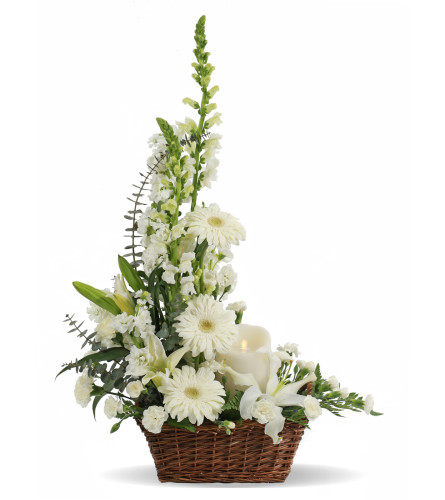 Eternal Light Arrangement
