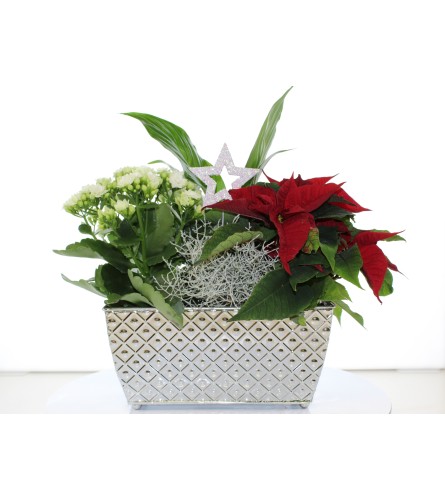 SILVER BELLS HOLIDAY PLANTER