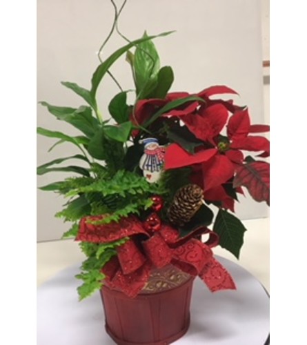 Jolly Holiday Dish Garden