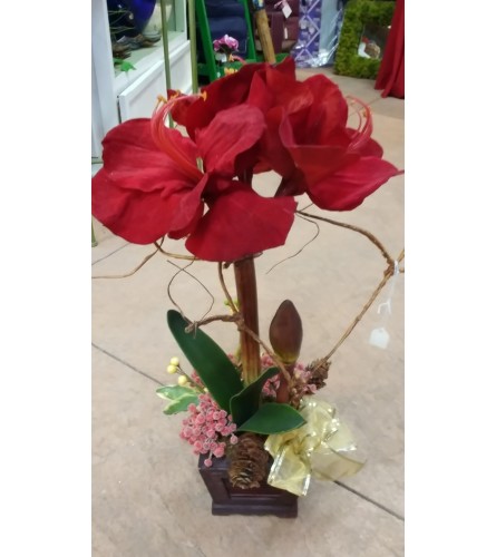 Single Silk Amaryllis