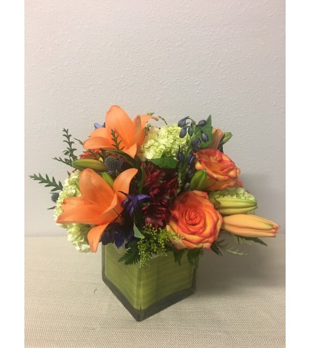 Fresh Blooms