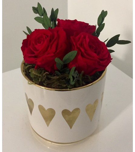 Preserved Rose Arrangement Red