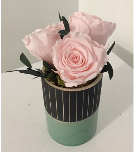 Preserved Rose Arrangement Pink