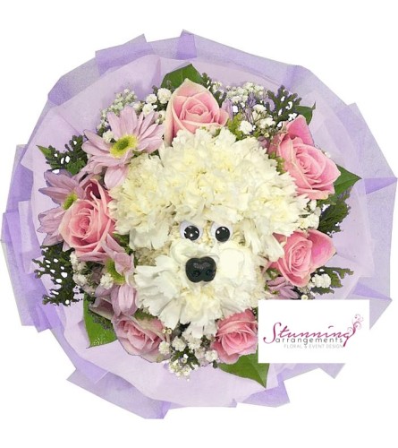 Pink Stunning Pup
