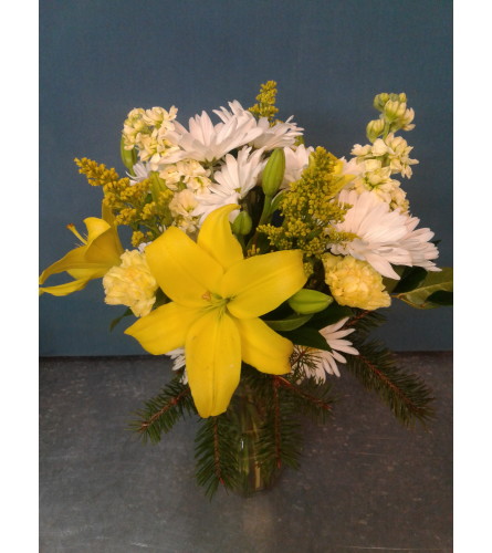 Mellow Yellow in Winter