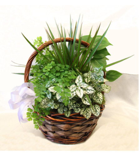 emerald green basket