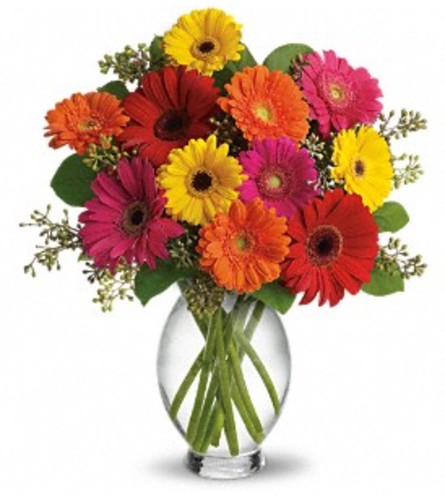 Teleflora Gerbera Brights