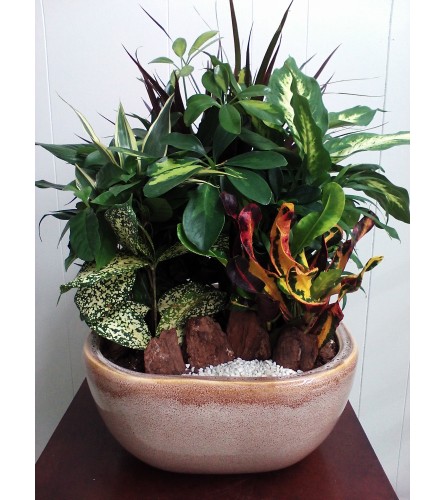 Emerald Ceramic Garden - Deluxe. An arrangement by Flowers By Maria.