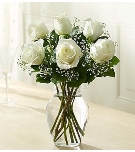 6 WHITE ROSES