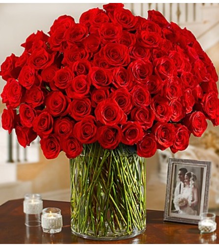 100 Red Roses in vase