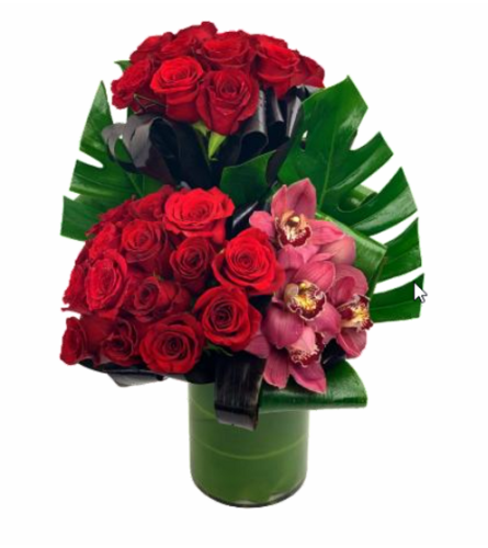 Roses are the Key to my Heart