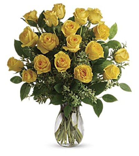 Yellow Bae Roses 12