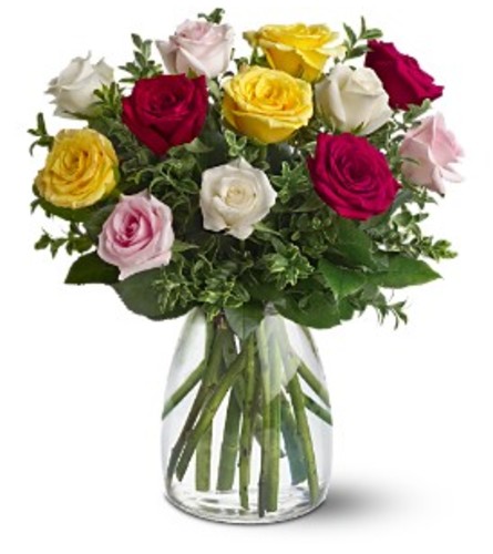 Teleflora's A Dozen Mixed Roses