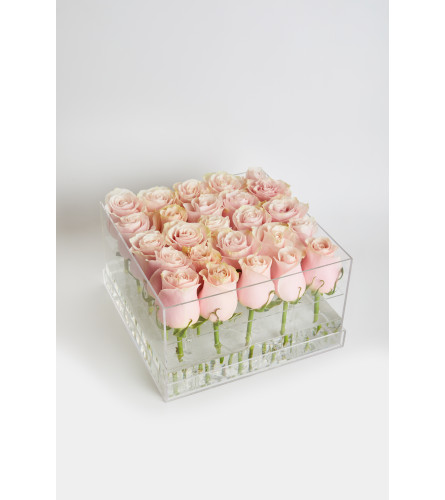 Acrylic Box square  25 Roses