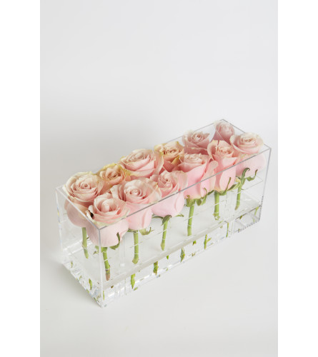 Acrylic Box rectangle  12 Roses