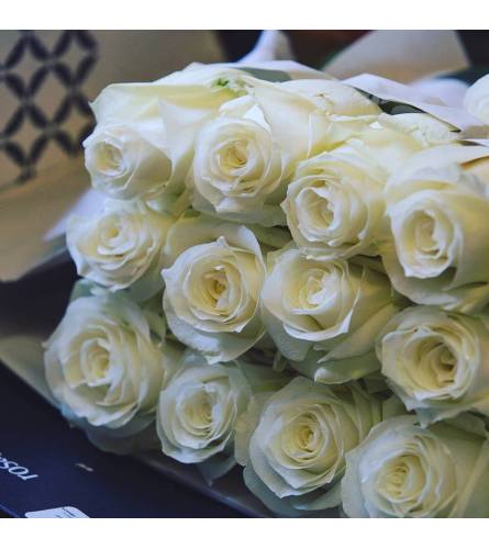 Premium White Roses