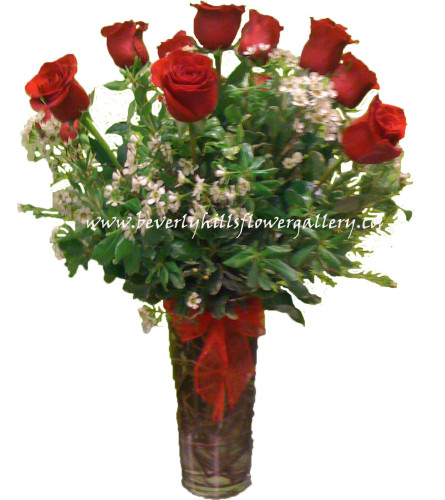 Dz. Long Stem Red Roses