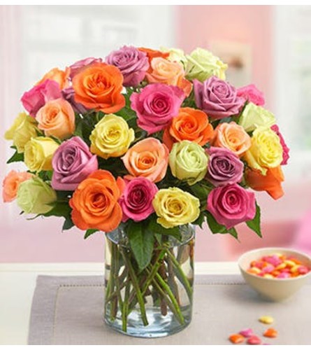 Colorful Rose Blast