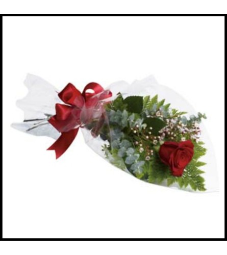 ONE SINGLE RED ROSE WRAPPED FANCY TO PRESENT