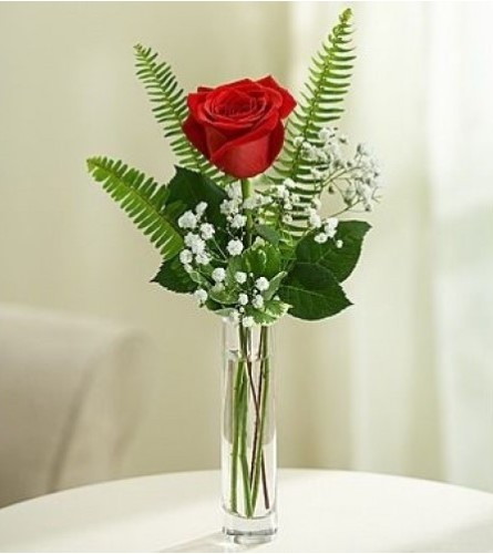 ONE SINGLE PERFECT RED ROSE IN A VASE WITH ACCENT FOLIAGE
