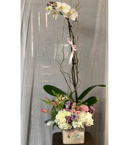 Lovely Orchid Arrangment