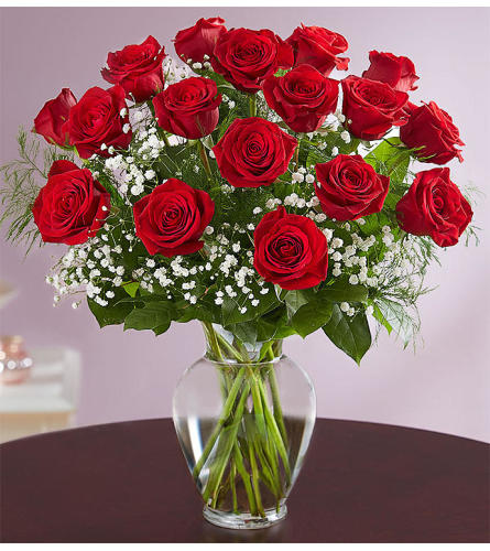 Beautiful Long Stem Red Roses