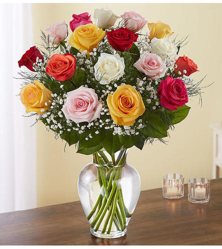 Beautiful Long Stem Assorted Roses