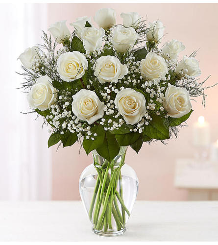 Beautiful Long Stem White Roses