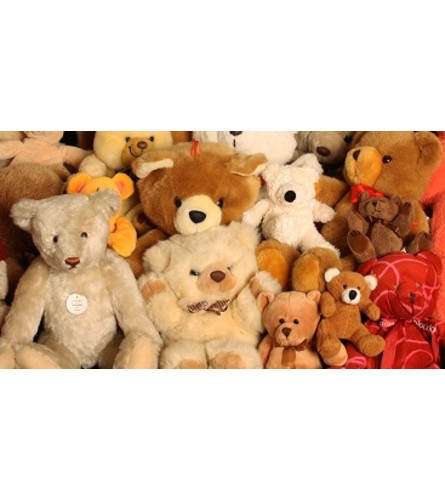 Plush Bears & Animals