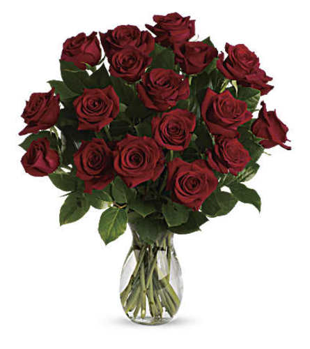Dozen Long Stem Roses