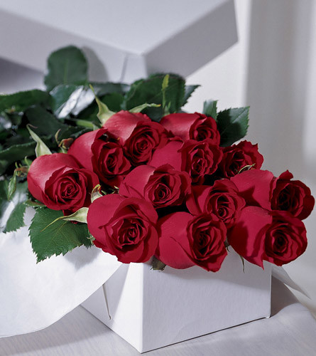 Boxed Dozen Red Roses