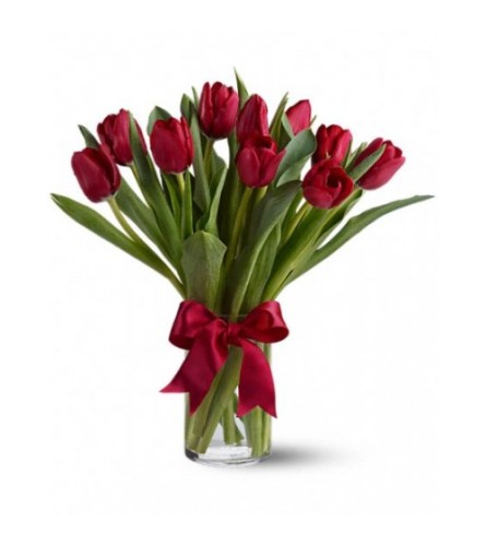 Elegant Radiantly Red Tulips