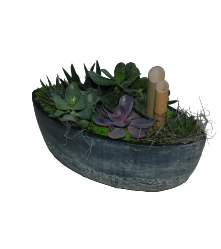 Succulent Garden Planter