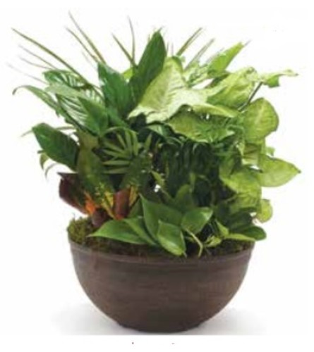 Planter - Round - 7074E