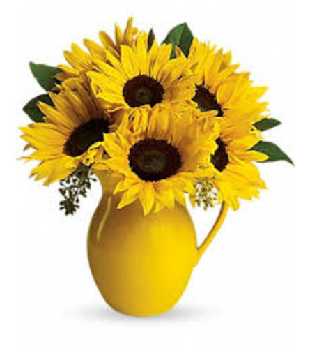 Yellow Sunny Day Pitcher