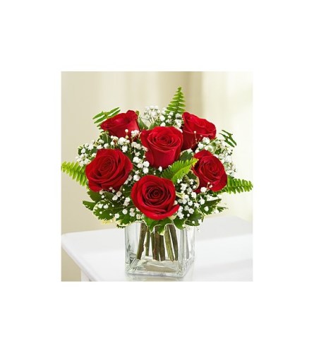 6 Red Roses w/vase