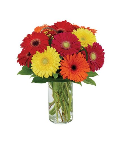 Gerberas Galore Bouquet