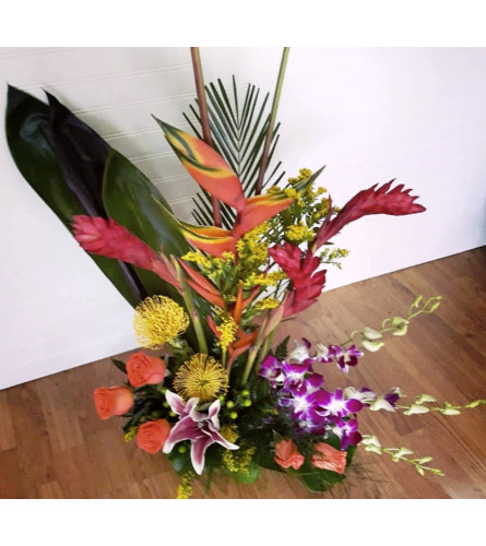 Modern Florist Choice Winter Park Fl Florist
