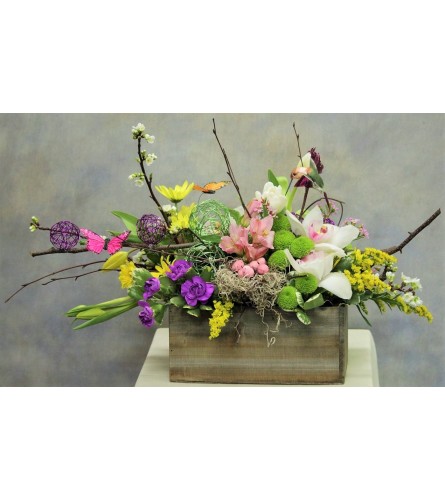 Springtime Splendor