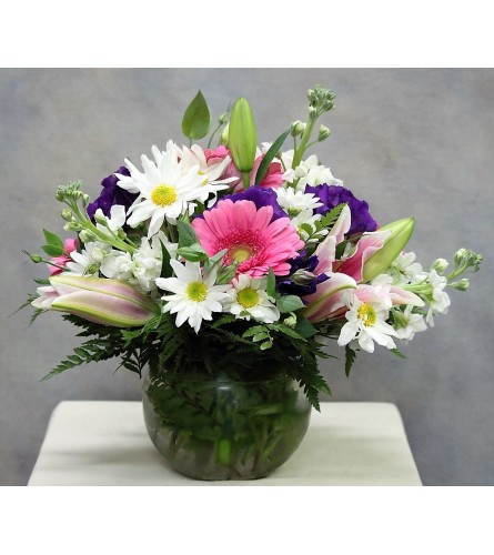 Fragrant Stargazer