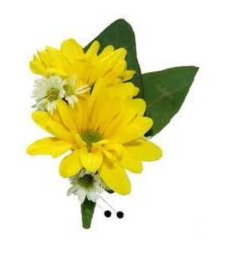 Yellow daisy rose bout.