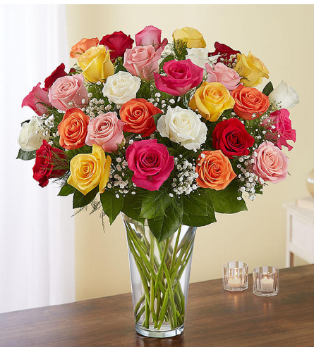 Mothers love Roses