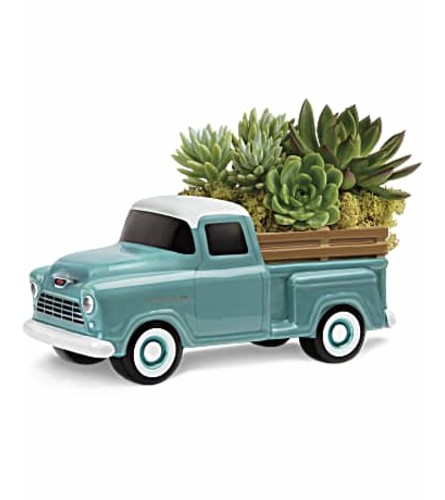 Chevy Full of Succulents