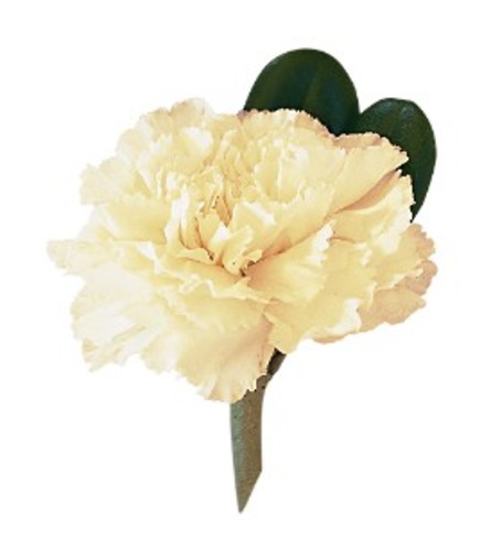 Carnation Boutonniere