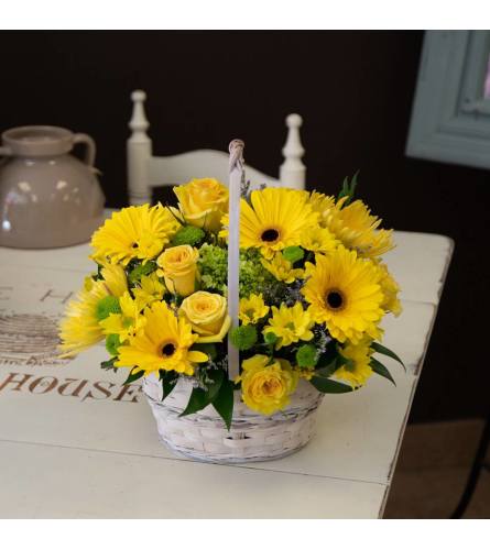 A Burst of Sunshine