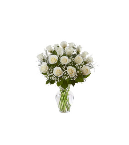 1 Dozen Deluxe White