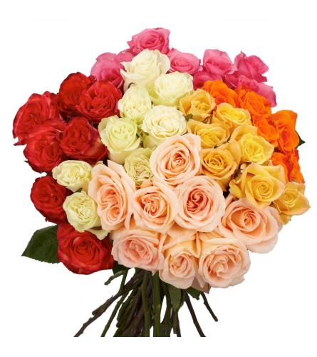Four Dozen Premium Assorted Roses