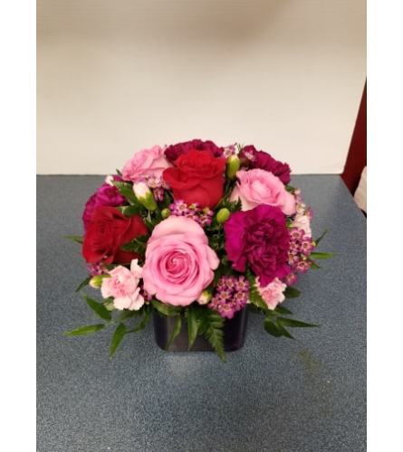 Beautiful Roses for any Occasion