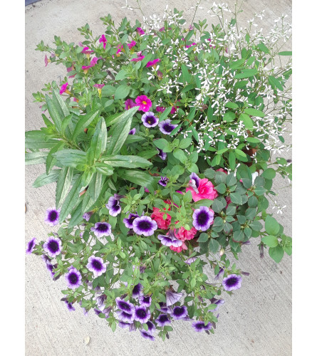 Blooming patio planter